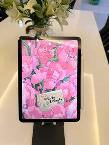 Ipad Air 4th