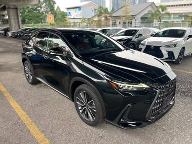 Lexus NX 250 LUXURY in Cheras, KUL