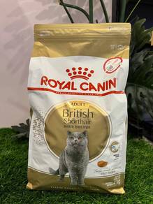 ROYAL CANIN ADULT British Short Hair 4KG