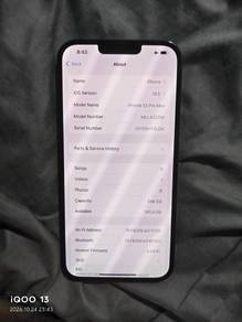 13 promax 256gb