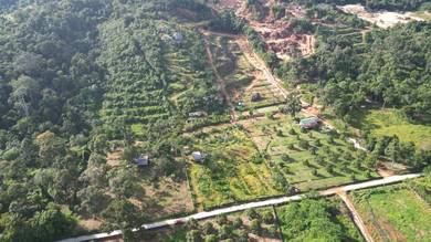 Agricultural Land in Kuantan, PHG