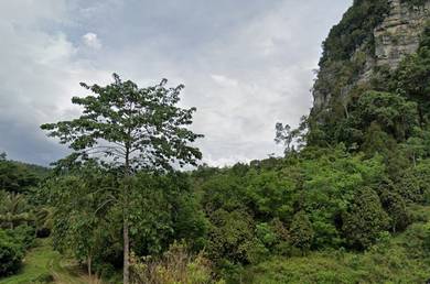 Agricultural Land in Kuala Lipis, PHG