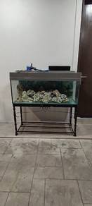4FT Aquarium Complete Set for Sale – RM350