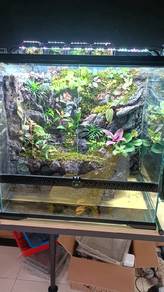 Paludarium Premium Set Lengkap Siap Susun