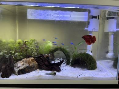 SOBO ES-480F fish tank with Filter & LED Light