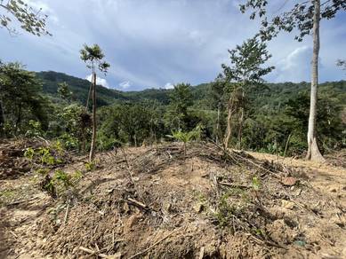 Agricultural Land in Kubang Pasu, KDH
