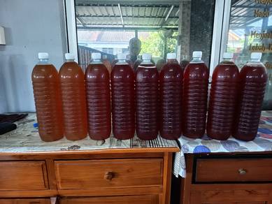 madu kelulut terus dari sarang