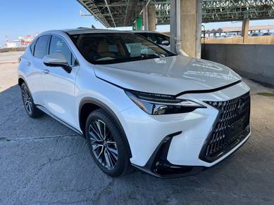 Lexus NX 250 BASE GRADE in Klang, SGR