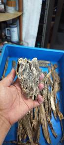 Agarwood  Chip Original Kedah