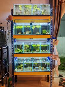 aquariun tank set
