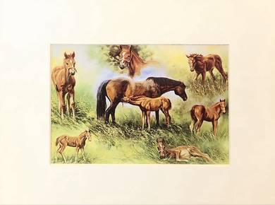 Countryside Horse Print 📢