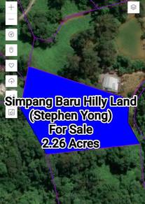Agricultural Land in Kuching, SWK
