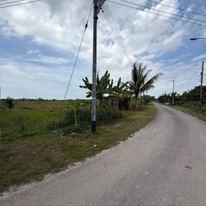 Agricultural Land in Miri, SWK