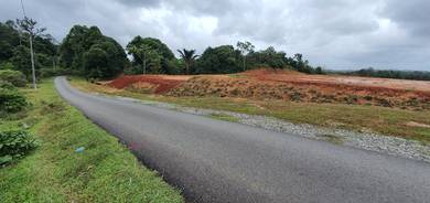 Residential Land in Marang, TRG