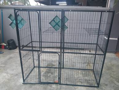sangkar kucing