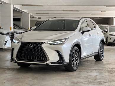Lexus NX 250 LUXURY in Desa Petaling, KUL