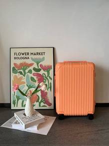 rimowa Essential Cabin trolley bag