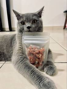 Freeze Dried Salmon