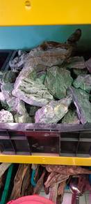 aquarium seiryu stone aquascape