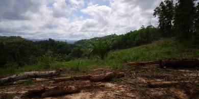Agricultural Land in Beluran, SBH