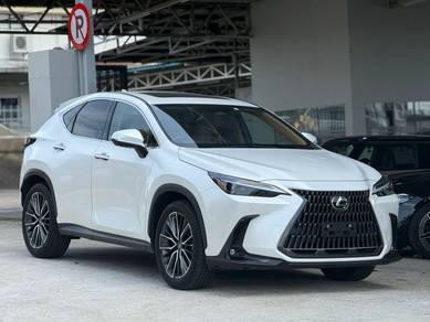 Lexus NX 250 LUXURY in Johor Bahru, JHR