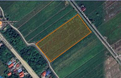 Agricultural Land in Taiping, PRK
