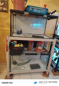 akuarium 4 kaki 