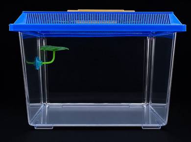 Aquarium 300MM-8.5liters Plastic Tank 30cmLx19cmWx