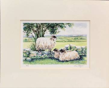   “Trio” Countryside Sheep Lithograph Print 📢