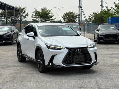 Lexus NX 250 LUXURY in Klang, SGR
