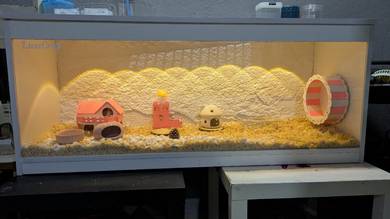 hamster cage 