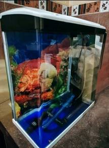 fish tank (used) 