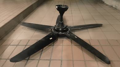 Ceiling Fan 