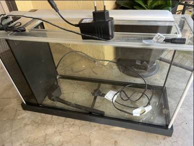 Aquarium fluval guppy fish