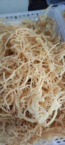 rumpai laut kering 