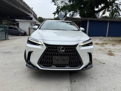 2023 Lexus NX 250 LUXURY