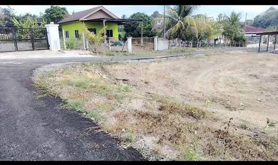 Agricultural Land in Pendang, KDH