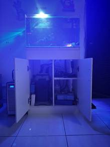 saltwater tank