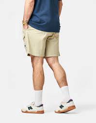 Patagonia khaki hiking short pants gregory levis