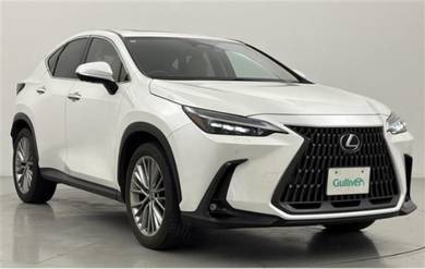 Lexus NX 250 LUXURY in Klang, SGR