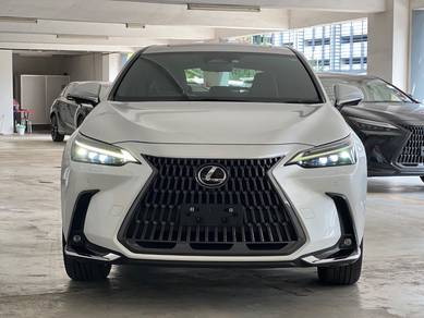 Lexus NX 250 LUXURY in Desa Petaling, KUL
