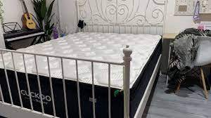 Tilam Cuckoo Promosi r1Tf171