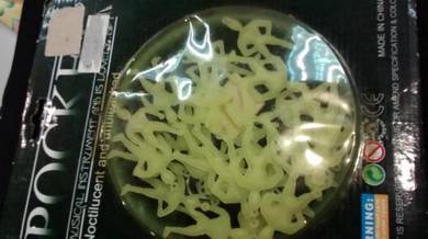 Glow in the Dark Stickers