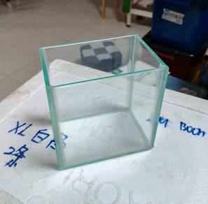 Betta Tank Ikan Laga