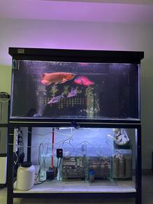 Fish tank 5ft×2.5ft×2.5ft