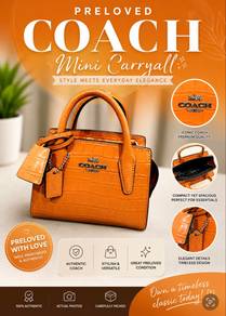 COACH Andrea Mini Carryall 13