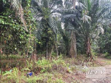 Agricultural Land in Klang, SGR