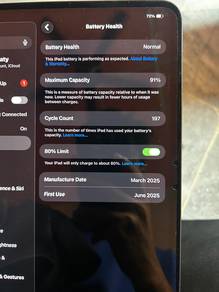 ipad M4 pro 11 inci (526gb)