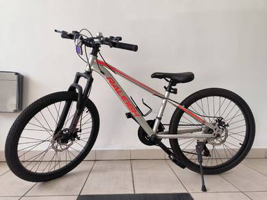 Raleigh Junior Bicycle