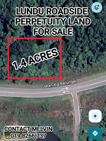 Agricultural Land in Kuching, SWK